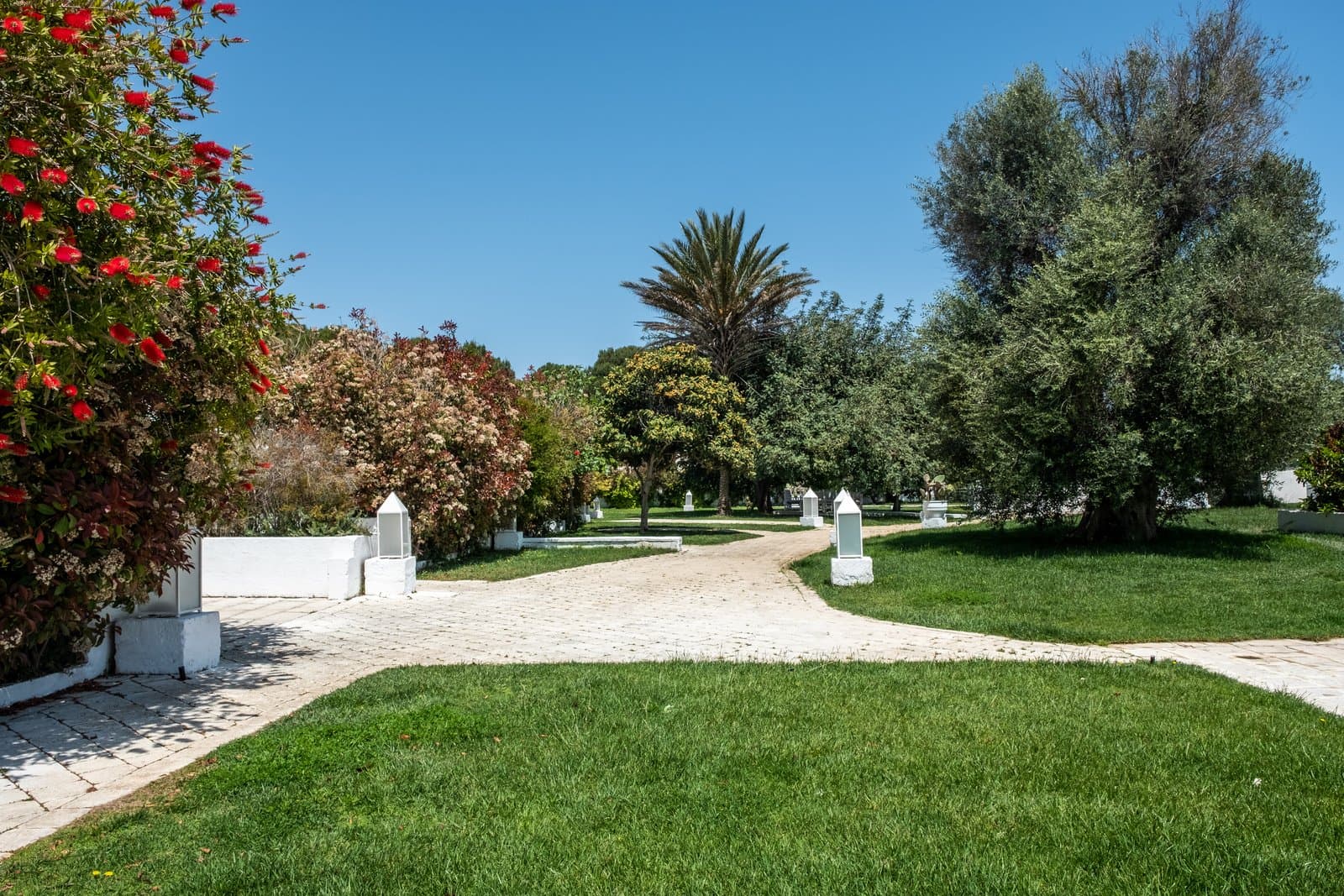 Baglioni Masseria Muzza - image 14