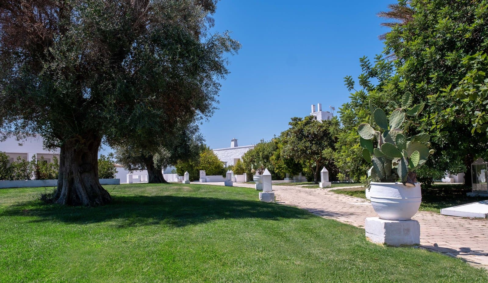 Baglioni Masseria Muzza - image 7