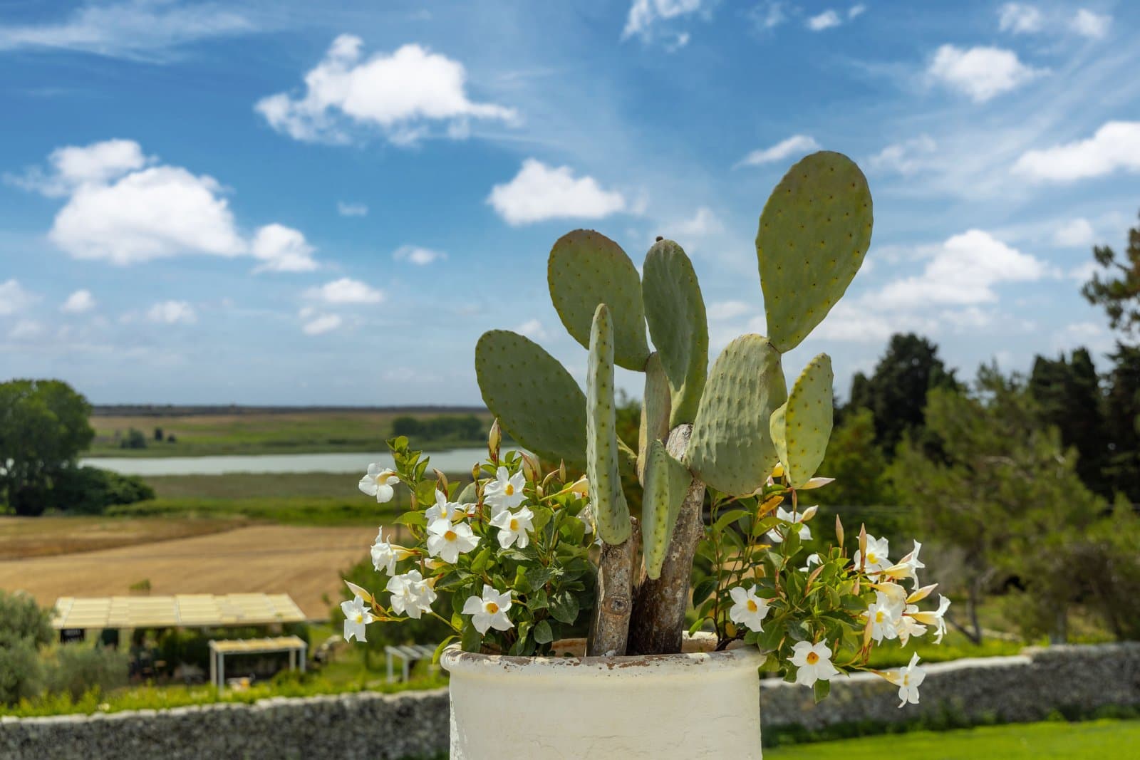 Baglioni Masseria Muzza - image 8