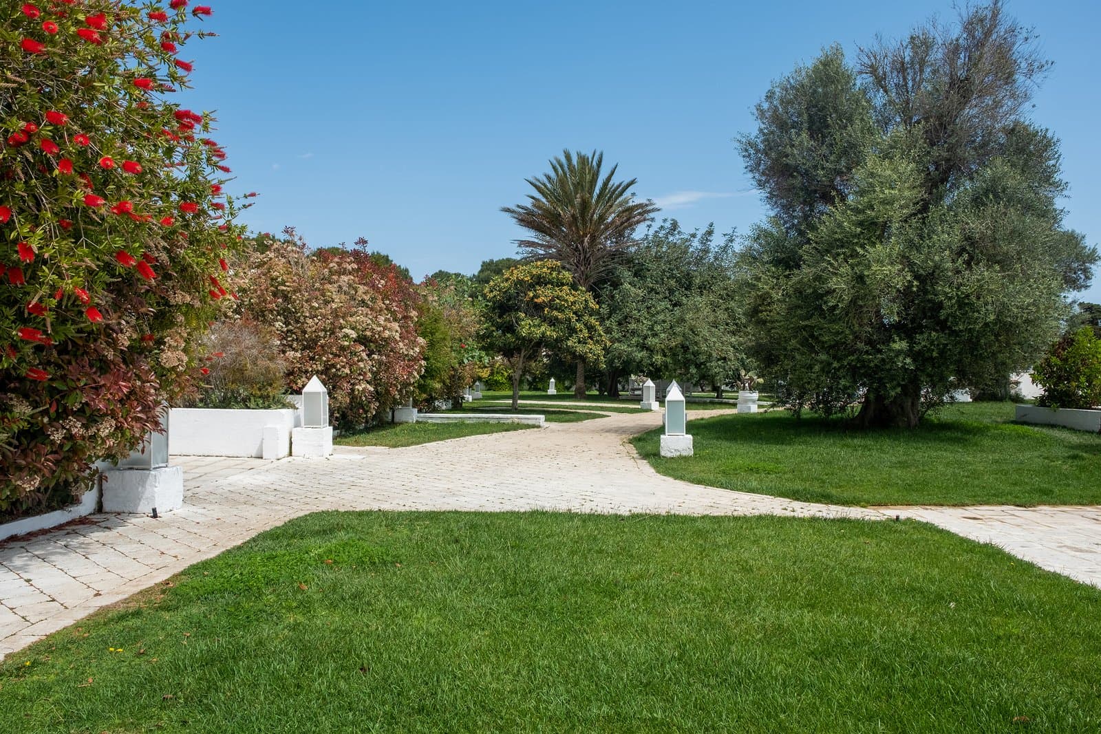 Baglioni Masseria Muzza - image 9