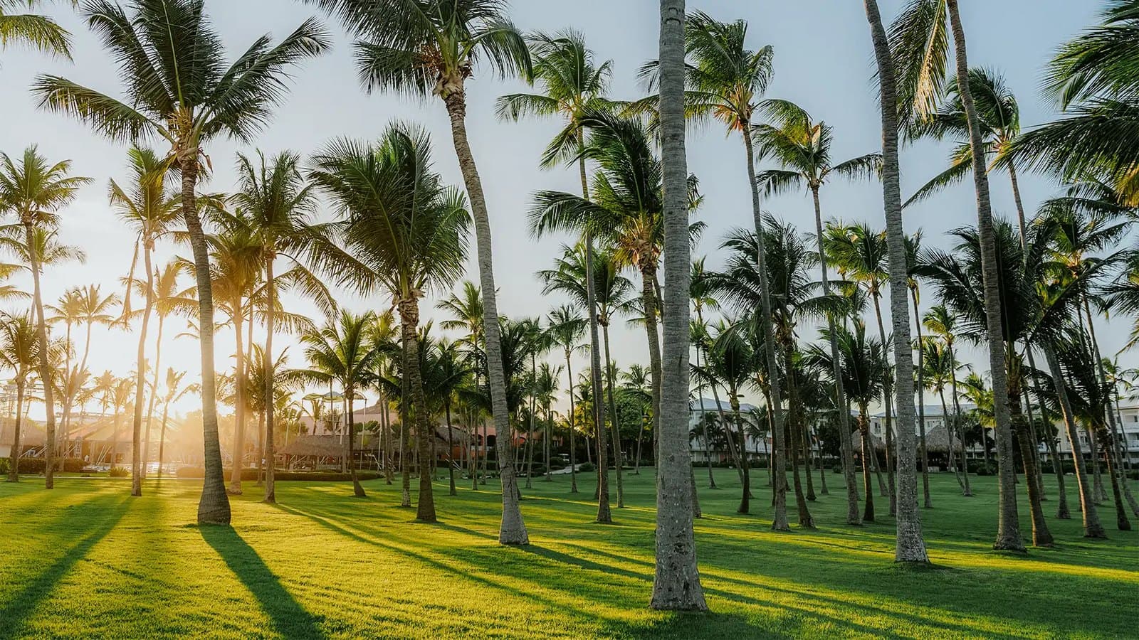 Club Med Punta Cana - image 4