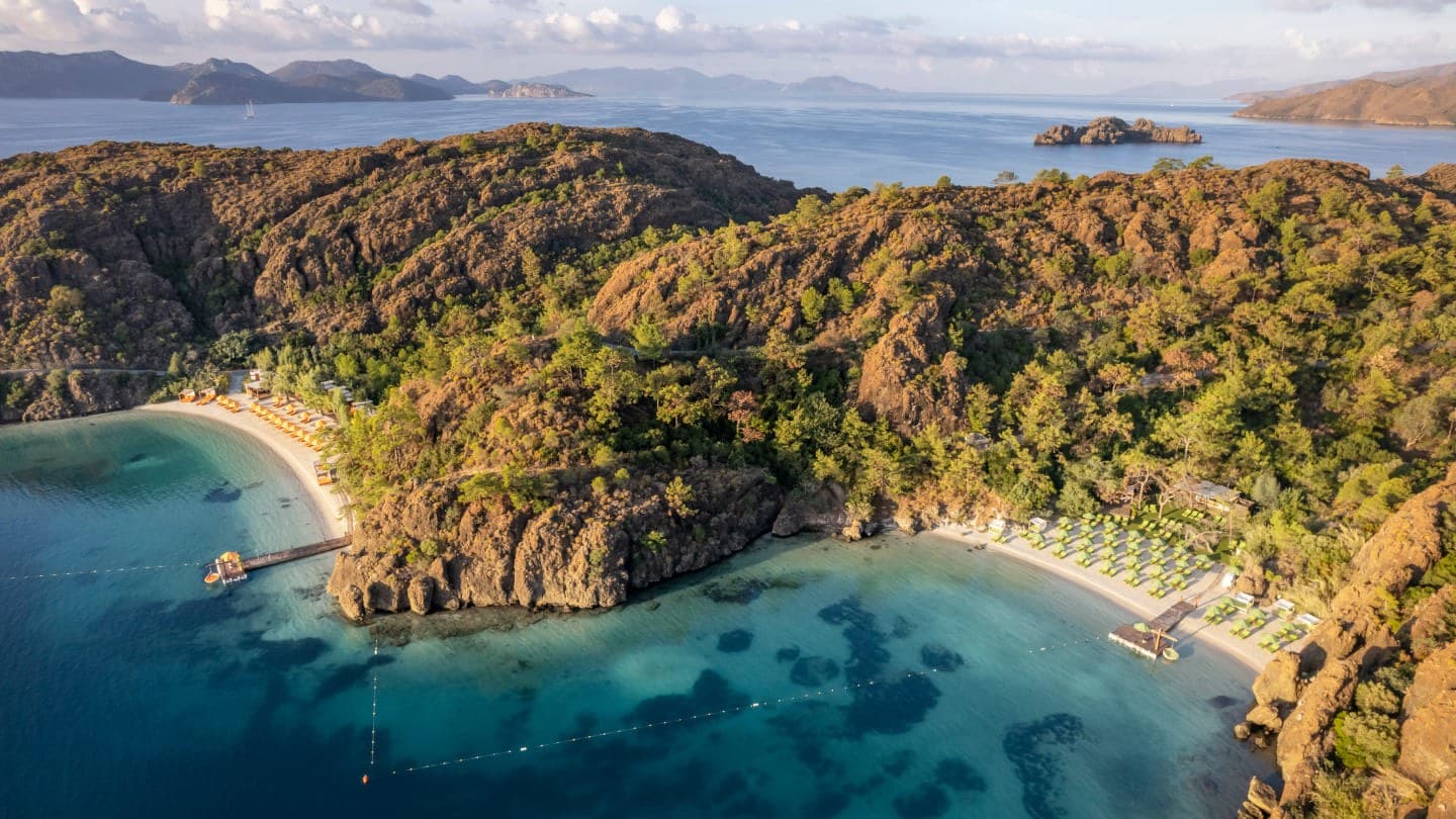 D Maris Bay - image 2
