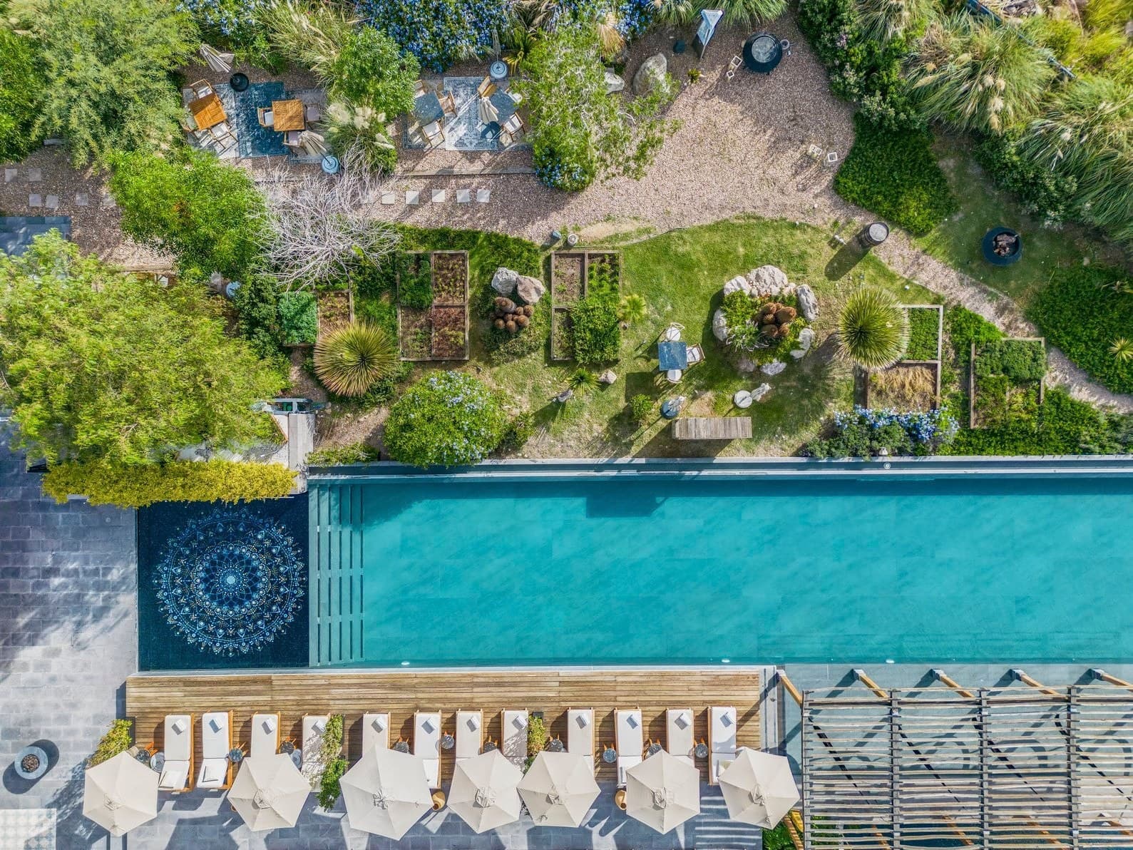 Live Aqua San Miguel de Allende - image 3