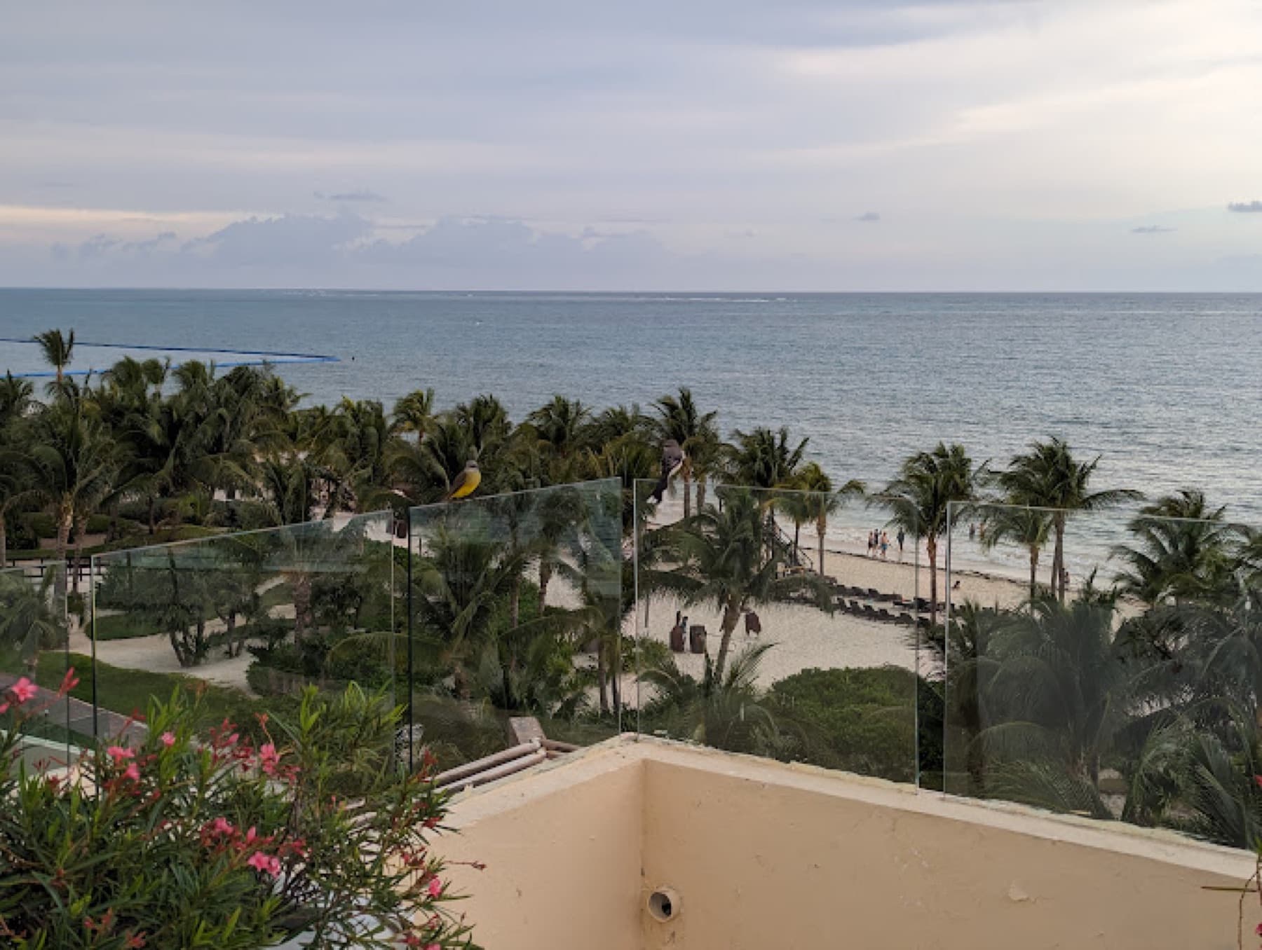 Royalton Riviera Cancun - image 2
