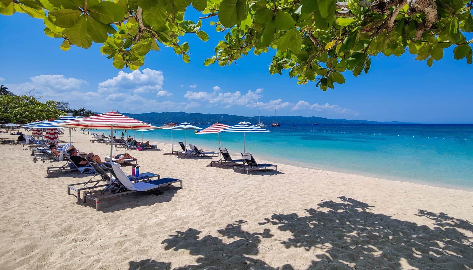 S Hotel Montego Bay - image 4