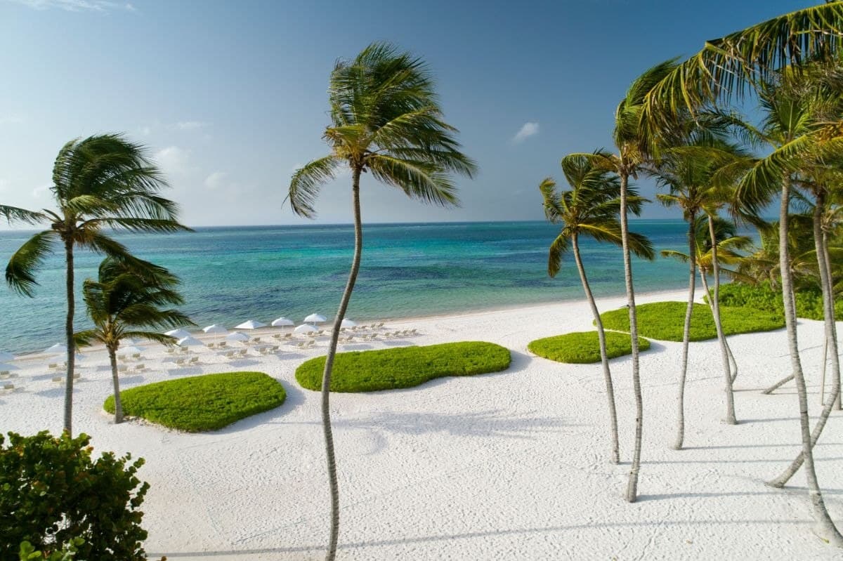 The Westin Puntacana Resort - image 3