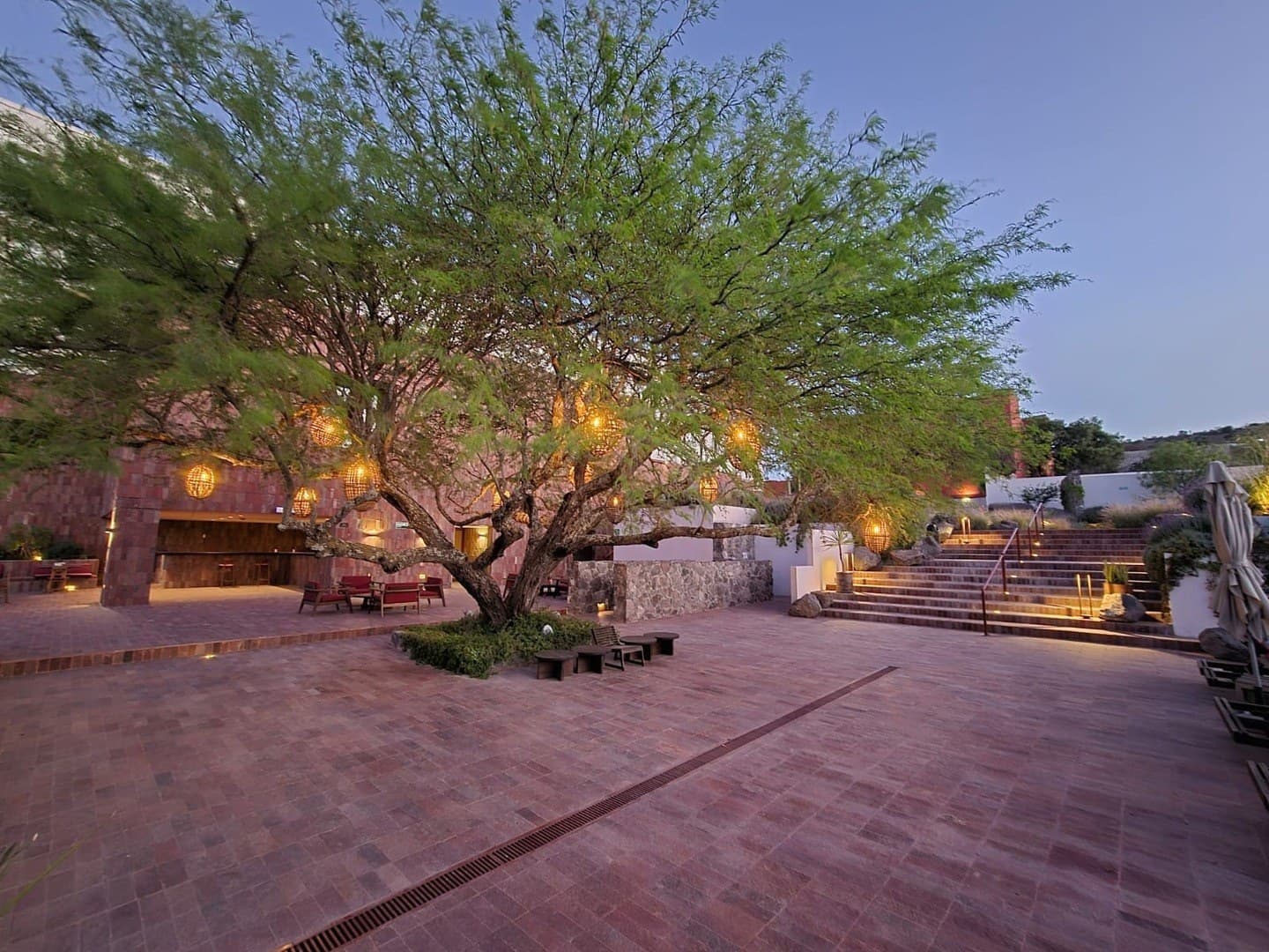 Terraza Mezquite — reception venue at Albor San Miguel de Allende