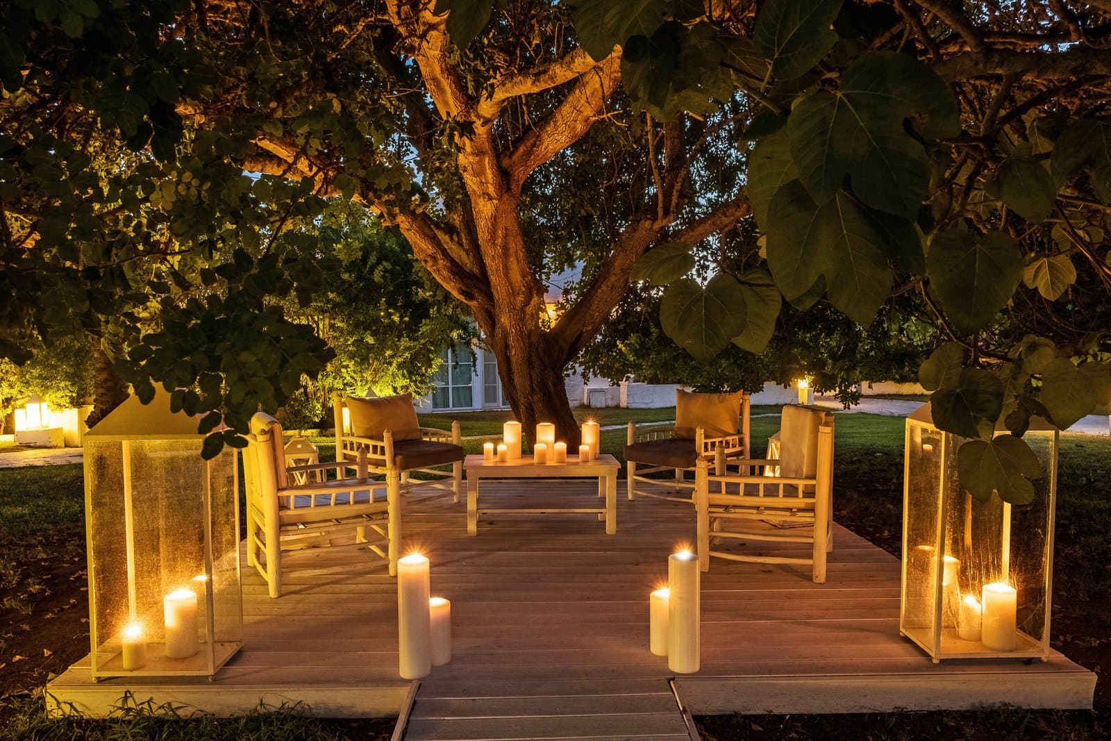 Carob Tree Corner — welcome venue at Baglioni Masseria Muzza