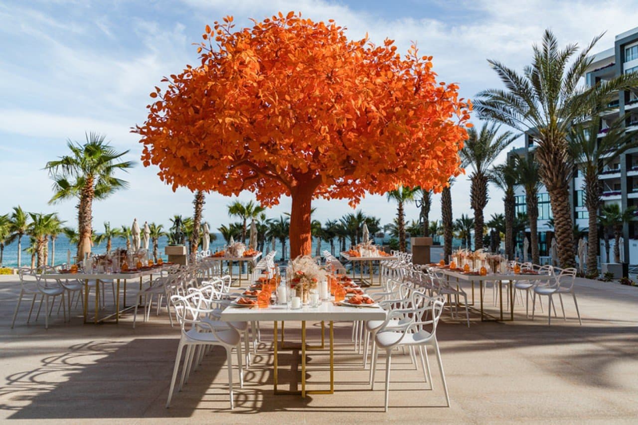 Orange Tree — ceremony venue at Garza Blanca Los Cabos
